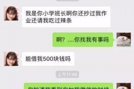 沈河为什么选择专业追讨公司来处理您的债务纠纷？